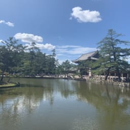 [일본여행]주말 산책코스로 좋은 나라(奈良) 도다이지&사슴공원 썸네일