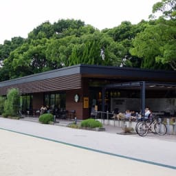 [일본/후쿠오카/여행] 오호리공원 오호리호수 스타벅스 썸네일