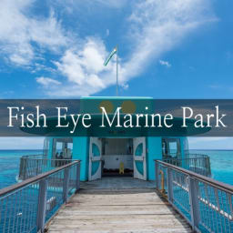 02 괌 여행 : 해중전망대 + 스노클링 + 점심 뷔페까지 한번에 해결하자! 피쉬아이 마린파크 Fish Eye Marine Park 썸네일