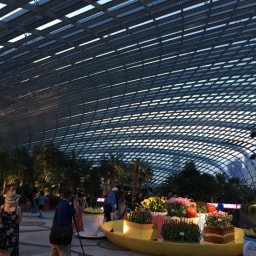 싱가포르 가든스바이더베이 플라워돔 (Flower Dome) 썸네일