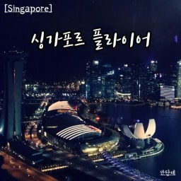 [싱가포르]싱가포르 플라이어 flyer 썸네일