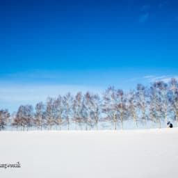 홋카이도겨울여행 / 비에이 / 세븐스타나무 썸네일
