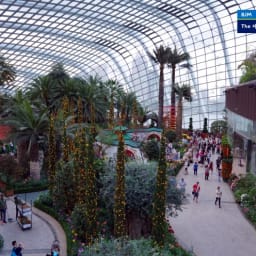 싱가포르 자유여행 - 가든스바이더베이 플라워돔 Flower Dome 썸네일