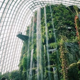 싱가포르 자유여행 :: 가든바이더베이 클라우드 포레스트, 플라워 돔 관광 썸네일
