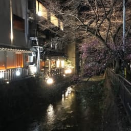 [일본 교토 가볼만한 곳] 산책하기 좋은 카모강, 기온 시라카와, 교토 밤거리 폰토초 골목 썸네일