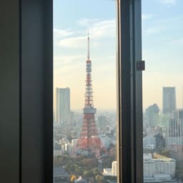 Tokyo+156 :: 손님 따라가는 여행 at 아사쿠사~세계무역센터빌딩~도쿄타워~롯폰기힐즈 썸네일