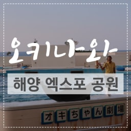 오키나와 해양엑스포공원 1탄 , 추라우미수족관 돌고래쇼 시간 썸네일
