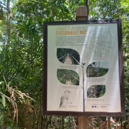싱가포르 트래킹 산책 코스 :: MacRitchie Reservoir 맥리치 저수지 공원 트리탑 워크 가는 방법 추천 썸네일