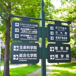 홋카이도 대학교, 북해도대학 박물관 방문기 (Hokkaido University) 썸네일