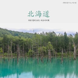홋카이도 비에이 여행 아오이이케(青い池) 썸네일