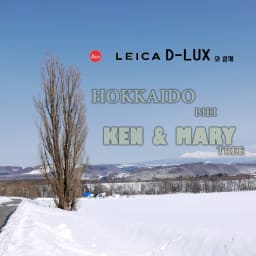 홋카이도 렌트 여행 - Tree of KEN & MARY 켄과메리나무 썸네일