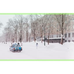[둘이서 겨울삿포로]눈이 오는 오후, 홋카이도 대학 썸네일