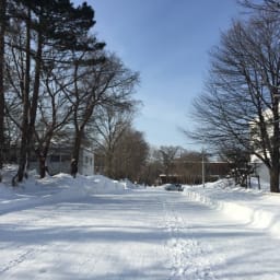 눈 덮인 홋카이도 대학 캠퍼스 산책 썸네일
